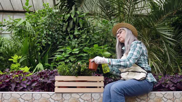 Senior Woman in Workwear Sitting in the Greenhouse and Spraying Leaves of Plants with Water alt