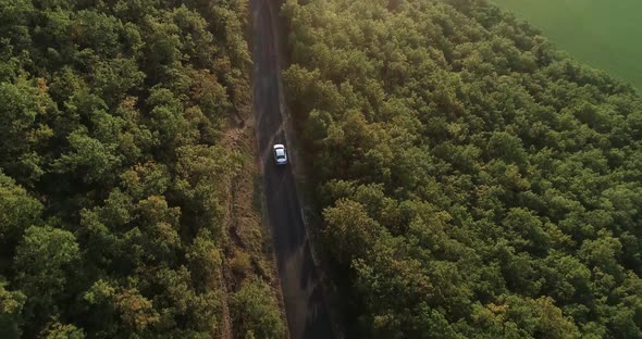 Top Down Aerial View Drone Image on Road Trought the Trees and Forest Mountain