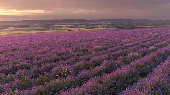 Aerial Nature Landscape Video