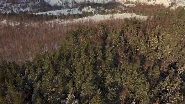 View of the Village in Winter From the Green Forest