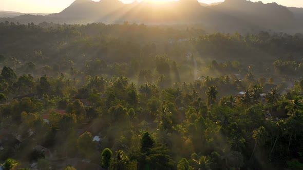 Aerial view of a scenic sunset over a dense forest near a mountain, Indonesia. alt