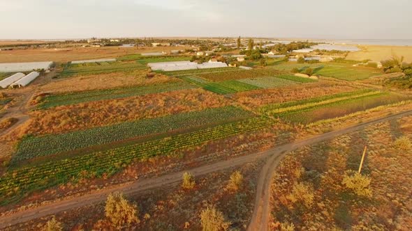Territory Of Greenhouses On Agricultural Fields