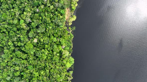 Stunning landscape of Amazon Forest at Amazonas State Brazil. alt