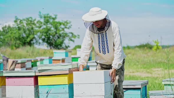 a beekeeper in protective clothing holds a frame with honeycombs for bees in the garden i alt