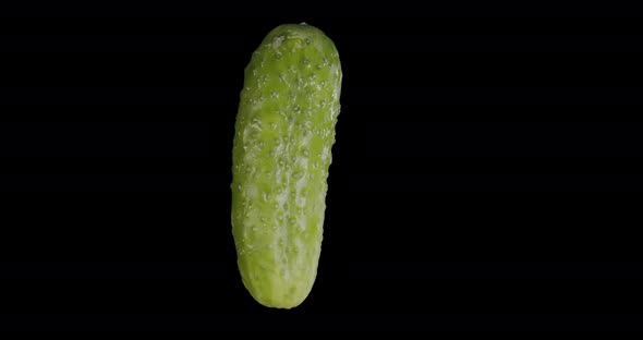 Green Cucumber Rotates Alpha Channel alt