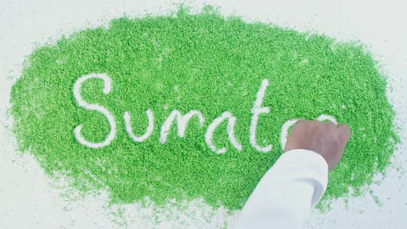 Hand Writes On Green Sumatra
