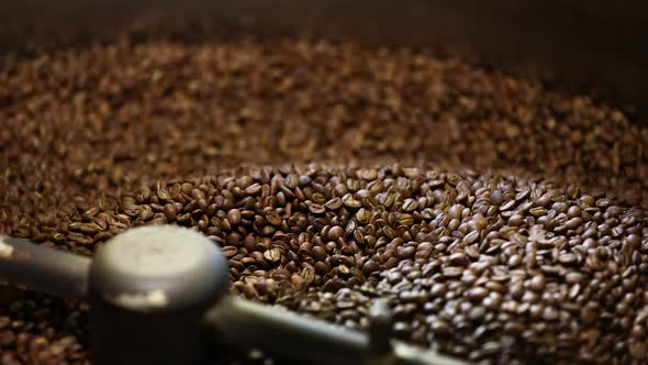 Coffee Production. Brown Beans Roasting In Machine Closeup