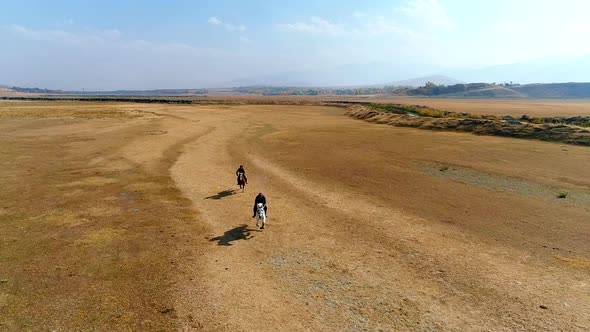 Horses galloping, slowmotion. alt