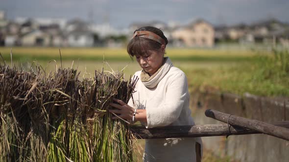 woman drying rice alt