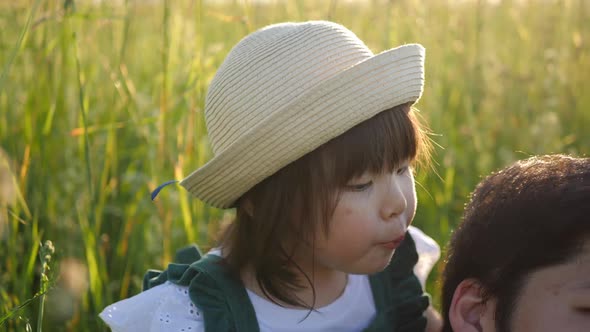 Korean Family with Their Daughter Lie in a Field in the Grass at Sunset alt