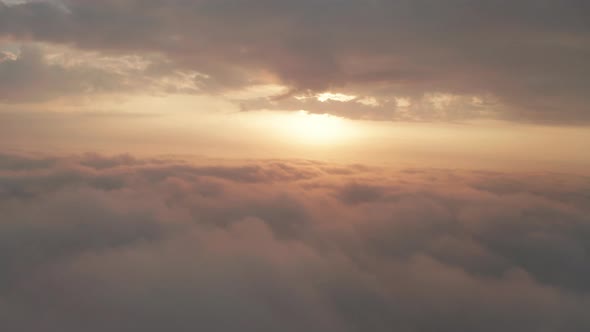 Beautiful Misty Dawn alt