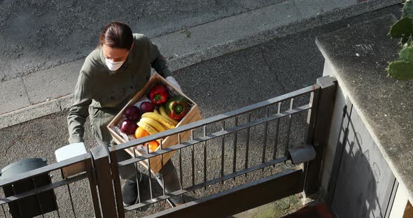 Woman delivering vegetable and fruit