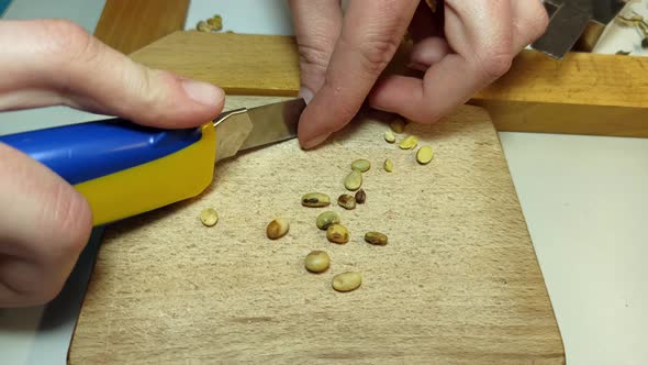 Manual Control of the Quality of Soybeans in the Laboratory of the Elevator