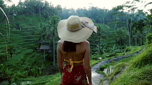 Beautiful girl spending time in the rice fields of Bali alt