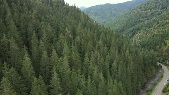 Nature of Ukraine: Carpathian Mountains Slow Motion. Aerial View alt