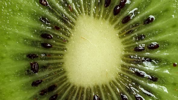 Sclied Kiwi Rotating alt