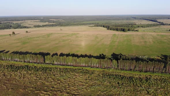 9 Field With Hay Rolls