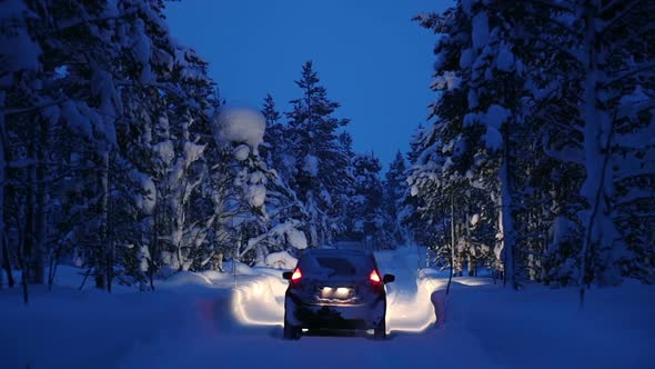 Night Snowfall in the Winter Forest and a Car with Headlights