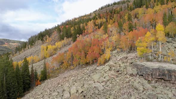 Flying along mountainside during Fall in the Uinta mountains alt