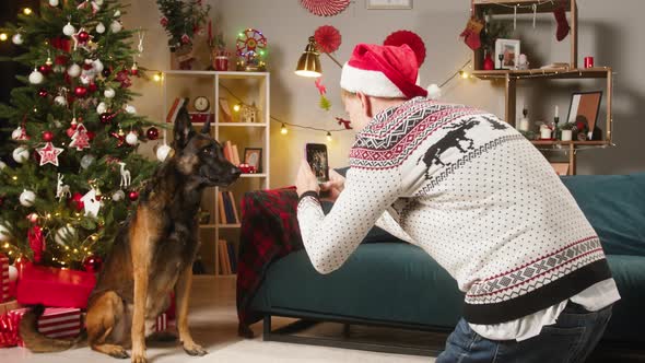 Man Taking Photo of Dog Posing on Christmas Tree Background Using Smartphone alt