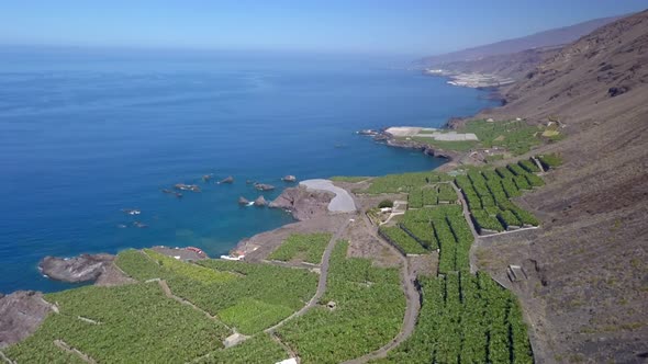 Banana Cultivation on La Palma Island, Canary Islands, Spain