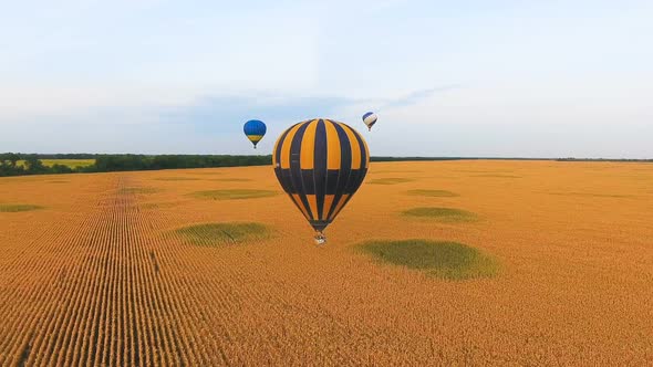 Couple of Hot Air Balloons Floating Over Golden Fields, Mesmerizing Landscape alt