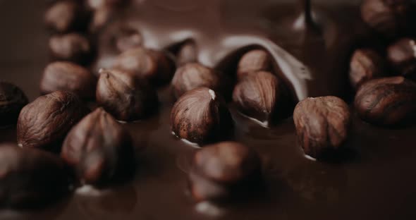 Hazelnuts Covering with Melted Chocolate in Slow Motion alt