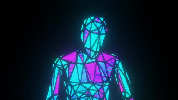 Lowpoly Human with Glitch Effect Loop