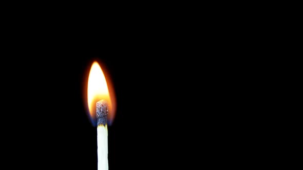 Igniting Match and Flame on a Black Background alt