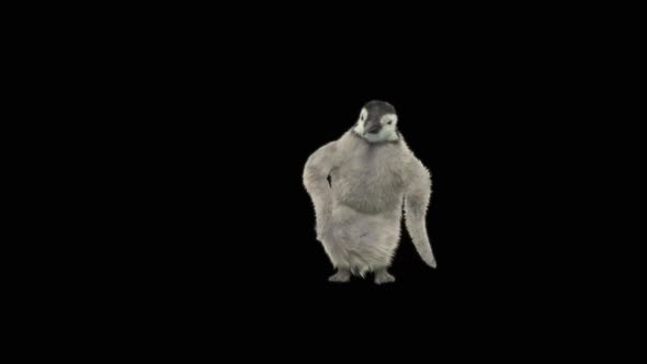 73 Penguin Dancing HD alt