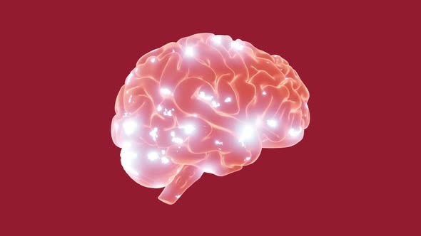 Brain With Bipolar Disorder Loop alt