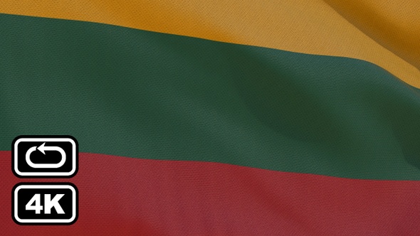 Lithuania Flag 4K Seamless Loop alt