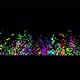 Colorful Particles Splash Widescreen - VideoHive Item for Sale