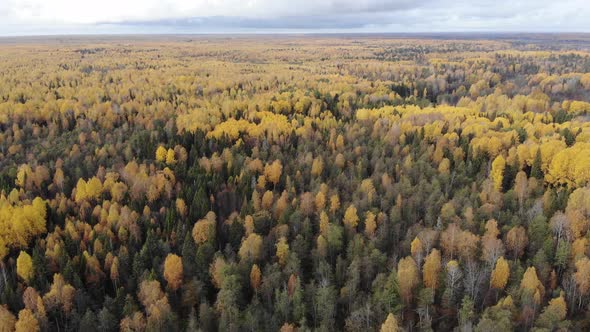 3 Autumn Panorama