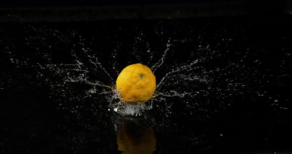 Lemon Yellow, Citrus limonum, Fruit falling in water on Black Background, Slow Motion 4K alt