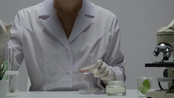 Lab Technician in Gloves Examines Components of Cosmetics Dripping Reagents