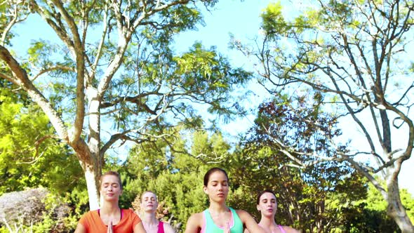 Women performing yoga in park alt