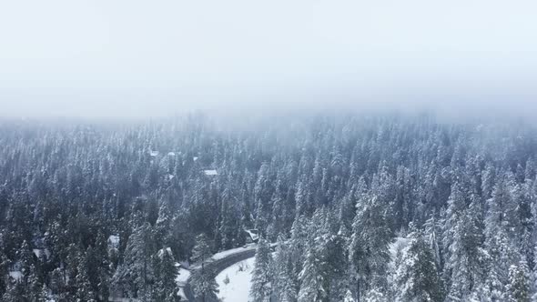 Overhead Drone Flying Through Heavy Snow Storm in Winter Mountain Landscape alt