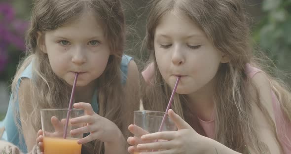 Close-up Faces of Beautiful Caucasian Brunette Girls with Grey Eyes Drinking Orange Juice Outdoors alt