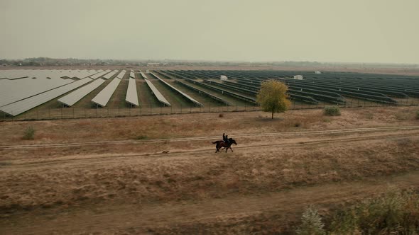 Women Gallop on Horses Along Fields with Solar Panels