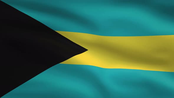 Bahamas Windy Flag Background 4K alt