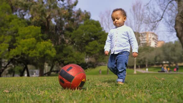 Little Mixed-race Boy Playing with Red Ball on Grass in Park alt