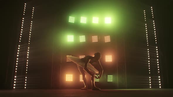 Silhouette Ballet Dancer Performing Swan Lake on the Stage of the Theater. Beauty Concept Slow alt