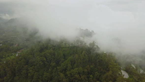 Mystic and Big Foggy Drone Flight Over the Rainforest in Mountain. Panorama View