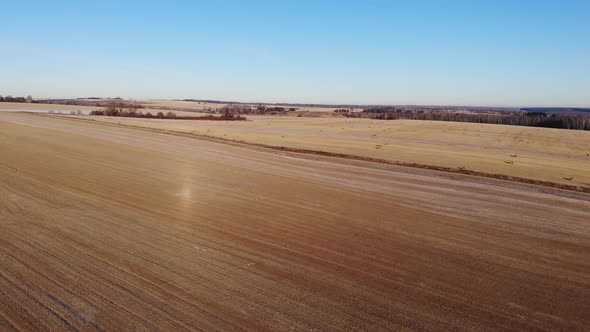 Flying over a cleared field, moving from right to left