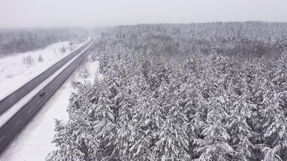Beautiful Landscape with Road and Conifer Forest on Snowy Winter Day