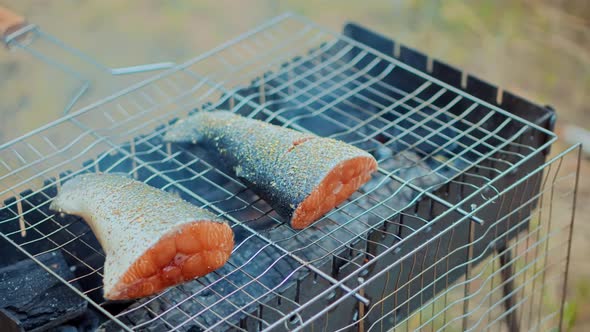 Chef Seasoning Spice Fish.Fried Salmon Fish With Spices.Slow Motion Seasoning Fried Fish On Barbecue alt