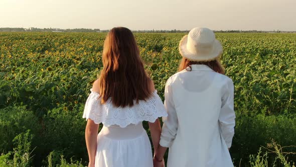 Aerial View of a Field of Blooming Sunflowers Next to Which Two Young Ladies in White Dresses Stand alt