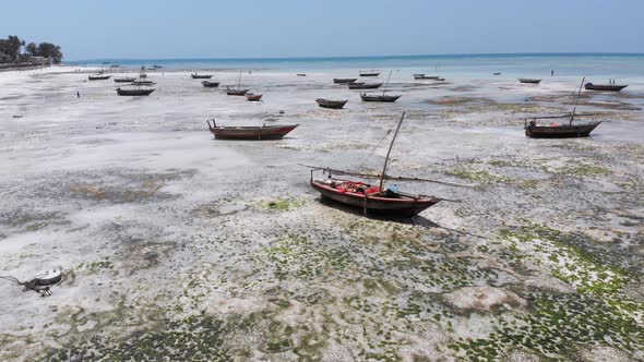 Many Fishing Boats Stuck in Sand Off Coast at Low Tide Zanzibar Aerial View alt