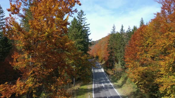 Rising Over The Empty Autumn Road